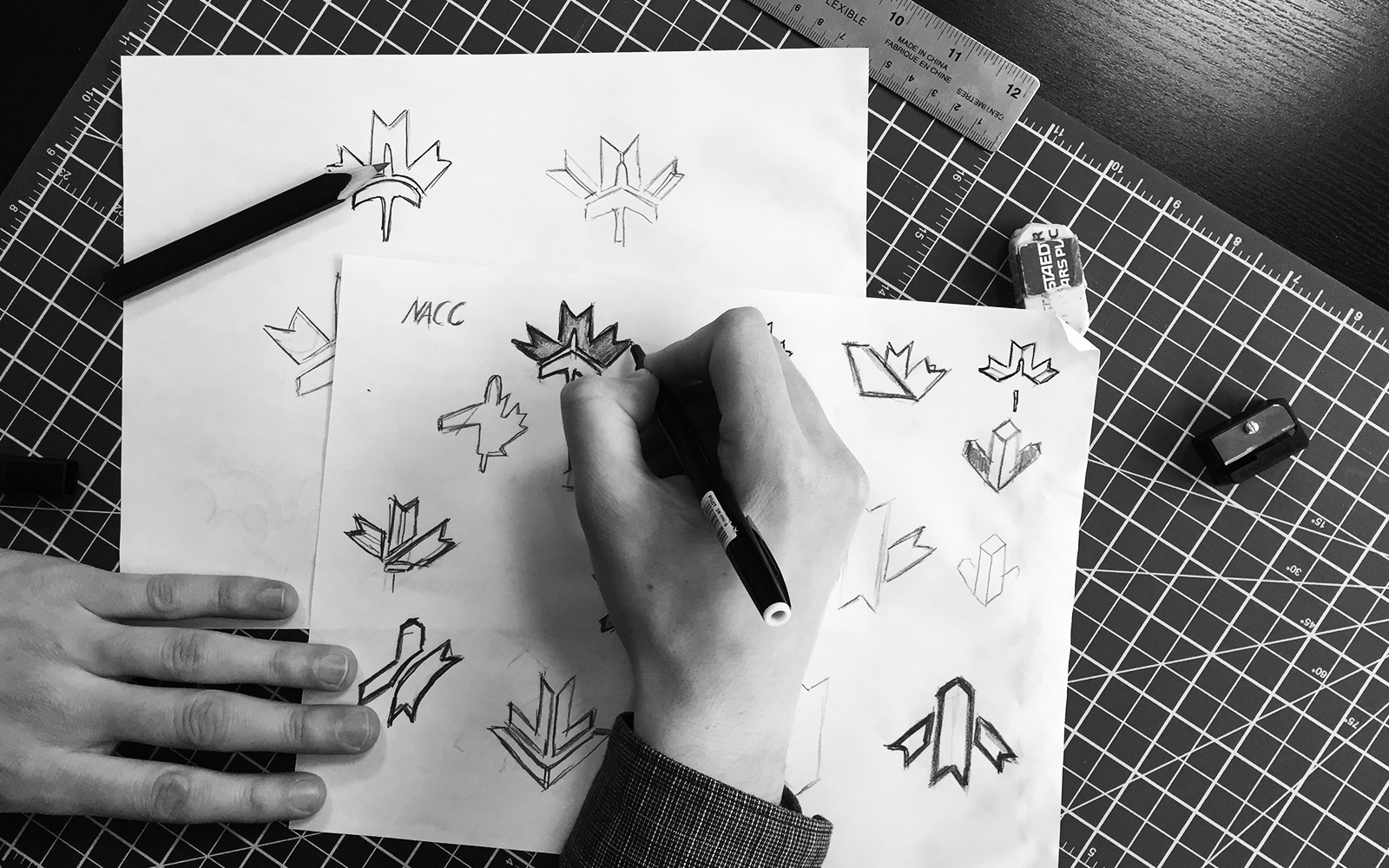 National Airlines Council of Canada - Logo Design Sketches