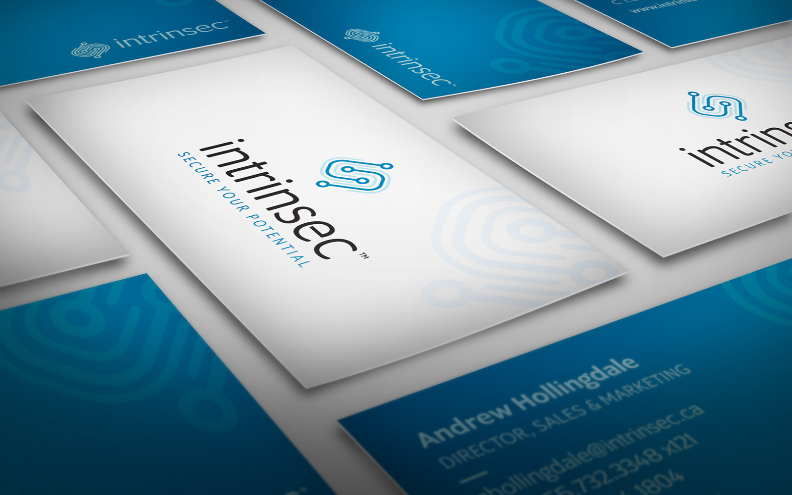 Intrinsec - Business Card Design