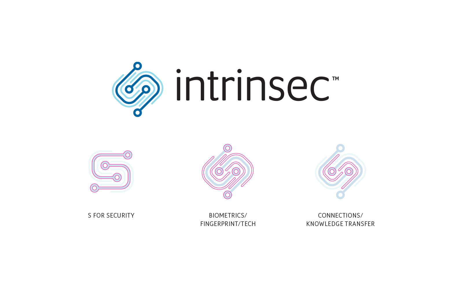 Intrinsec - Logo Design Formation