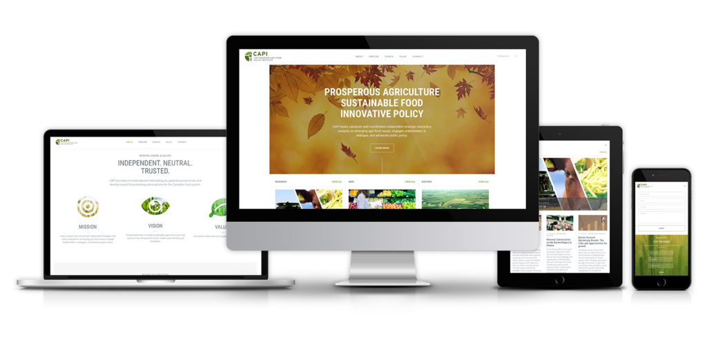 CAPI – New Website Design