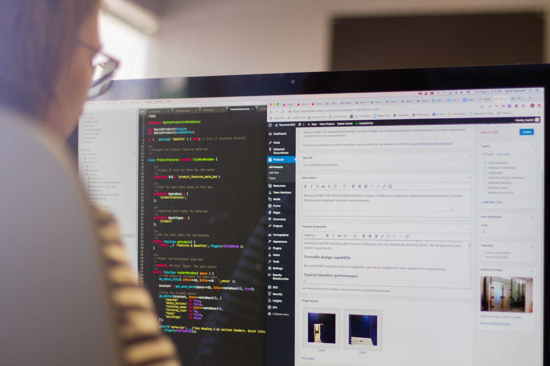 support staff reviewing a client's custom WordPress admin interface