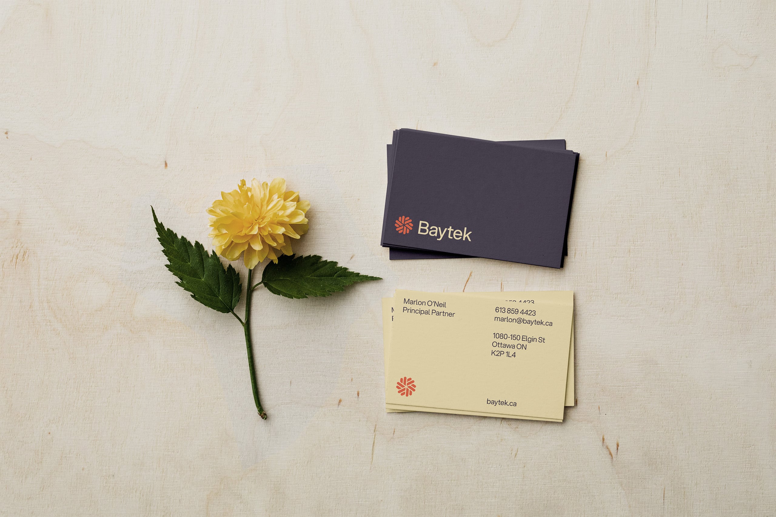 Baytek business card design