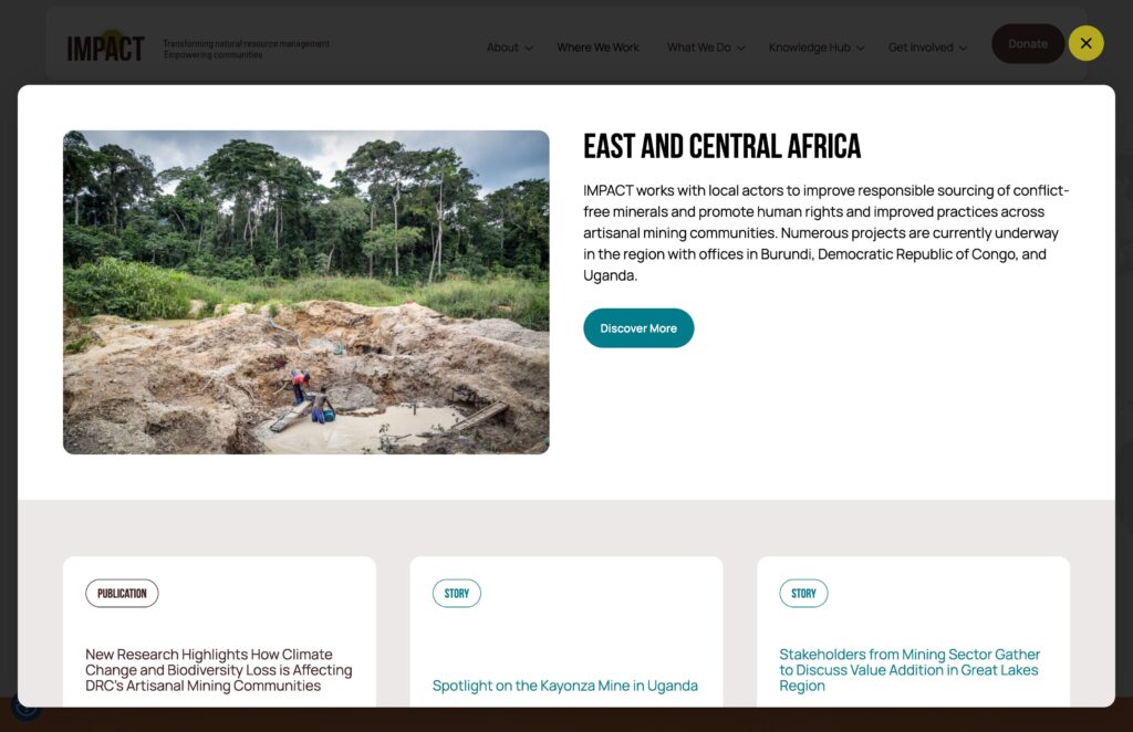 Screenshot of modal window showing the work